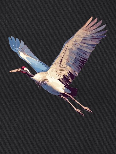 Cranes Crane