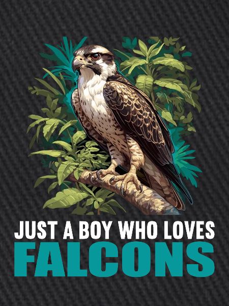 Falken Falke