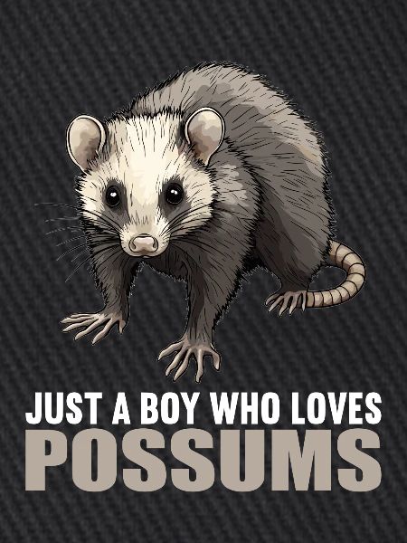 Opossum Opossums
