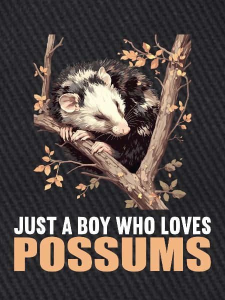 Opossum Opossums