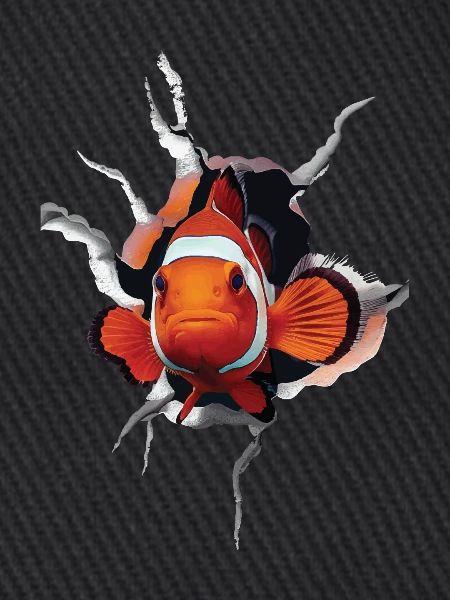 Clownfisch