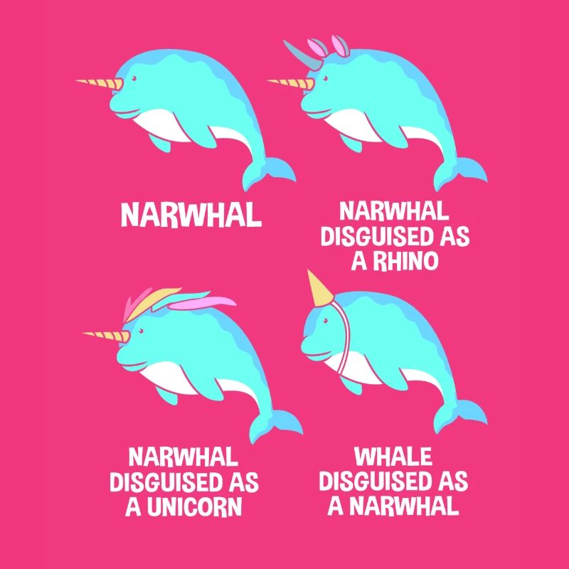 Narwhal
