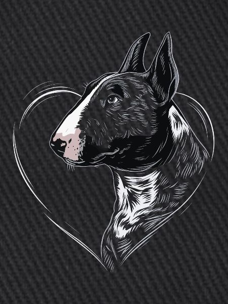 Bullterrier