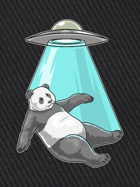 Panda Raumschiff Weltraum