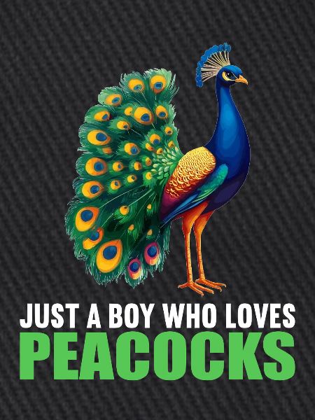 Pfaue Pfau