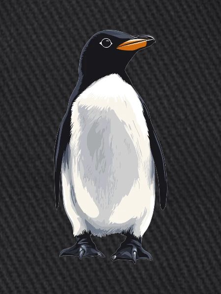 Pinguine Pinguin