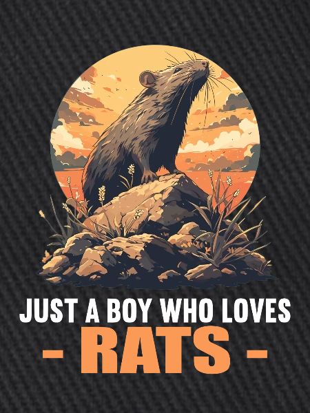 Ratten Ratte