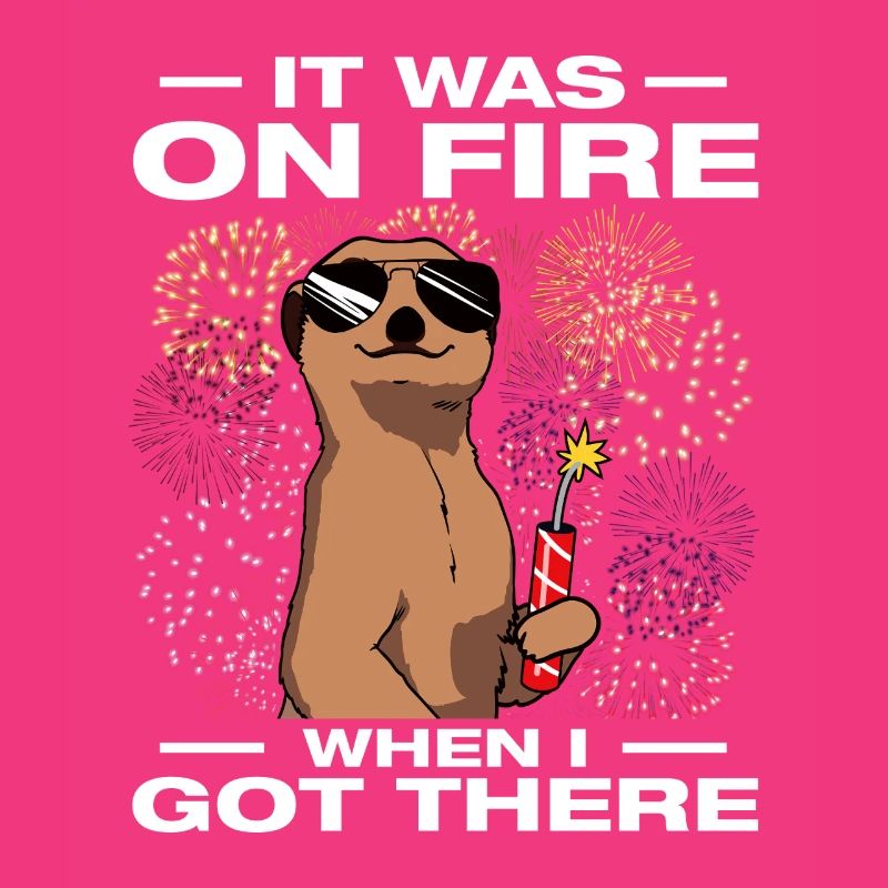 It was on fire: pyrotechnicians, firecrackers, fireworks