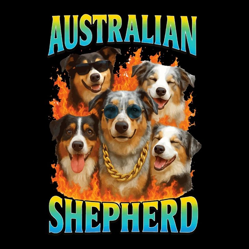 Australischer Schäferhund