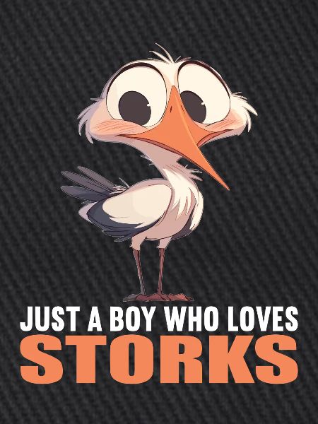 Störche Storch