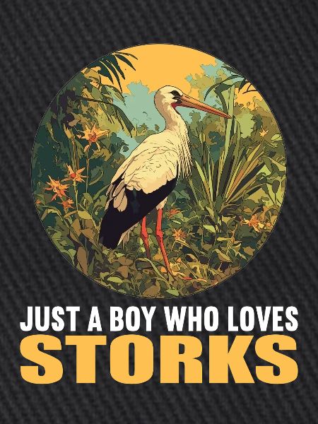 Störche Storch