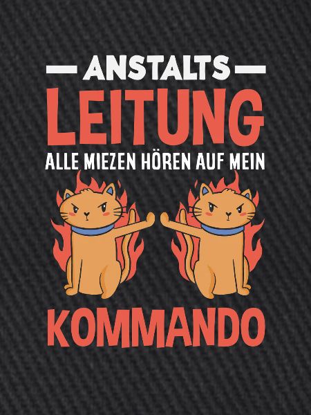 Anstaltsleitung Chef Leitung