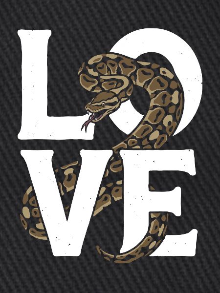Königspython Schlangen LOVE Terrarium Python