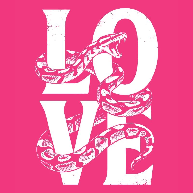 Königspython Schlangen LOVE Terrarium Python