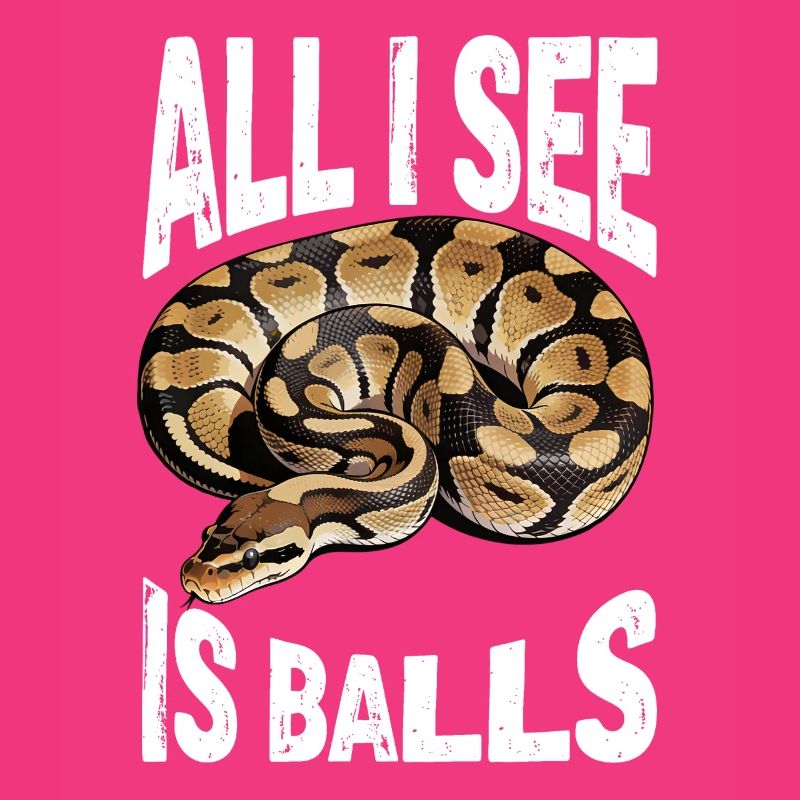 Königspython Schlangen Liebhaber Terrarium Python