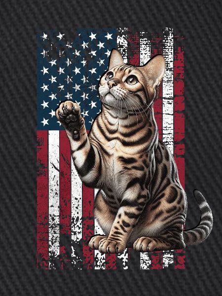 Bengal Cat US Bengalkatze