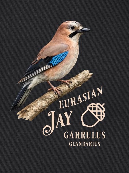 Eurasian Jay Eichelhäher Vogel Design