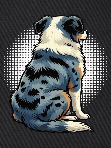 Australian Shepherd Aussie Aussiebesitzer Aussies