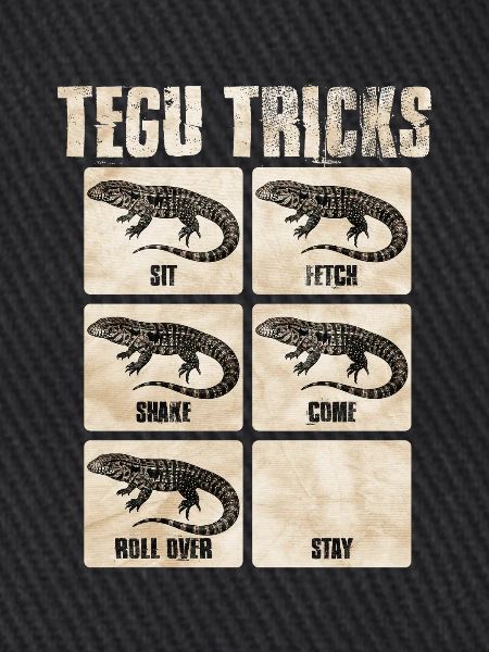 Tegu Tricks Reptilentricks Karten