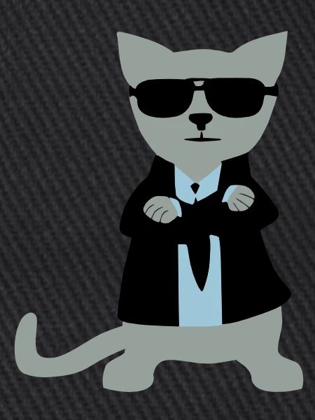 Bodyguard Cat