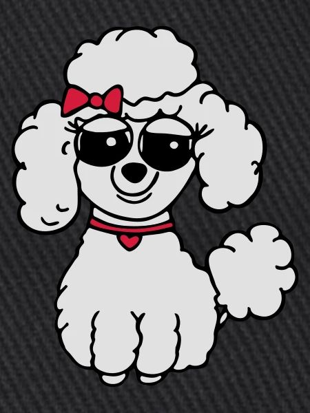 poodle 3