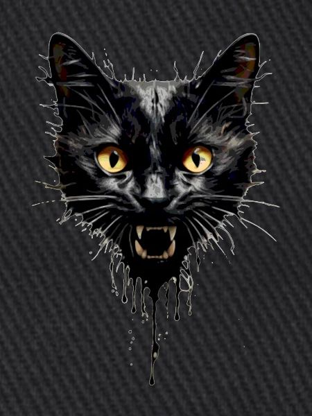 Evil Cat