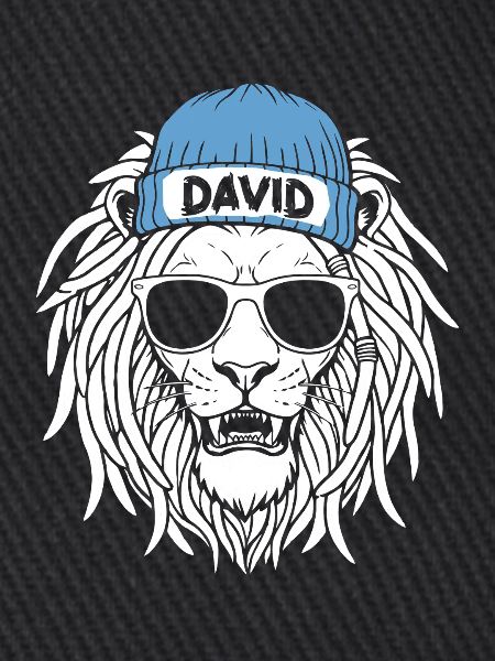 Löwe David