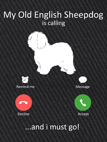 Altenglischer Schäferhund ruft Telefonbildschirm