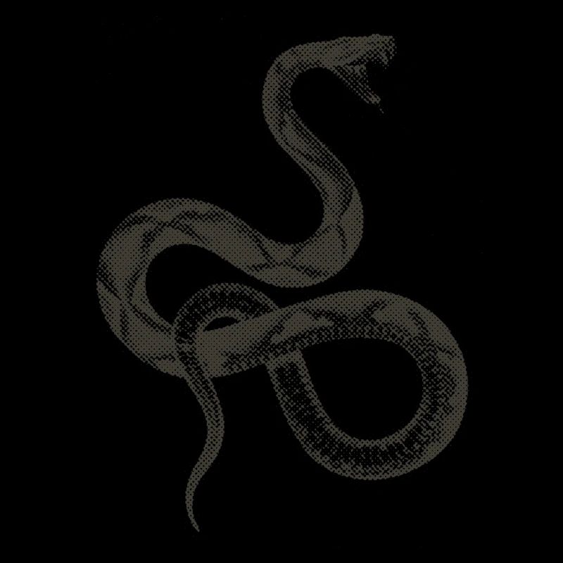 Schlange / Snake