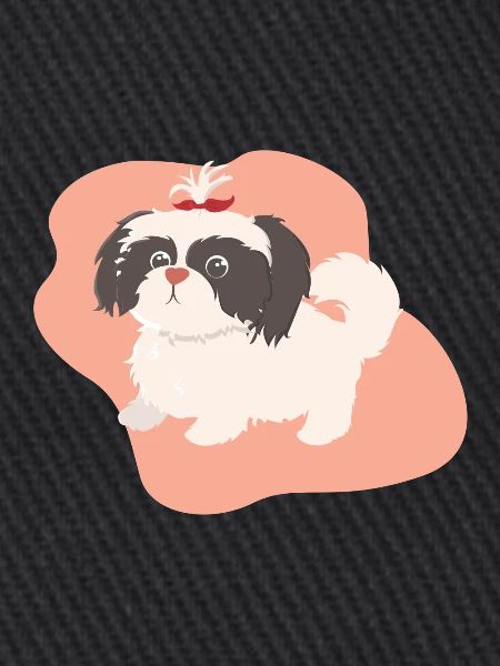 Dog with braid