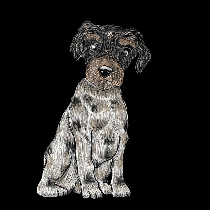 Yorkshire Biewer Terrier
