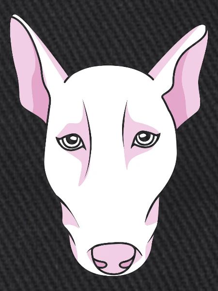 Bullterrier