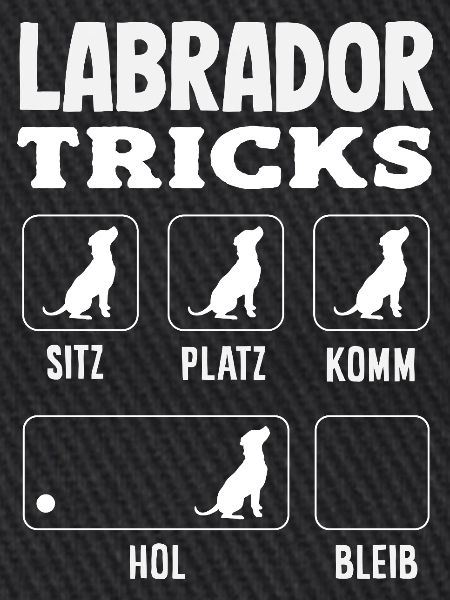 Labrador Tricks