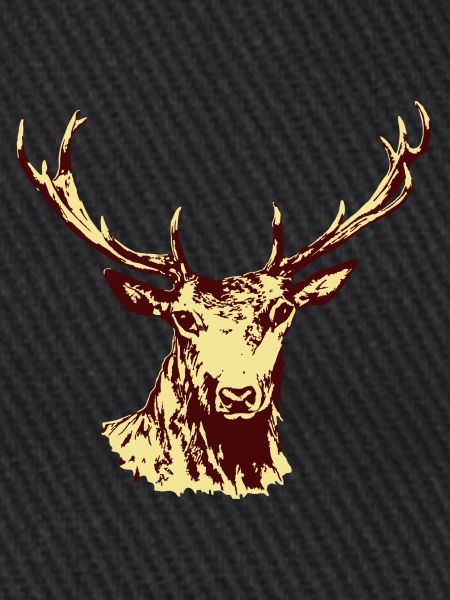 Hirsch