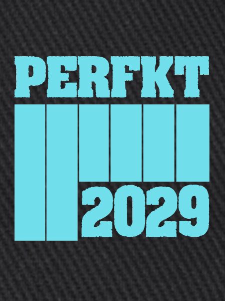 2029