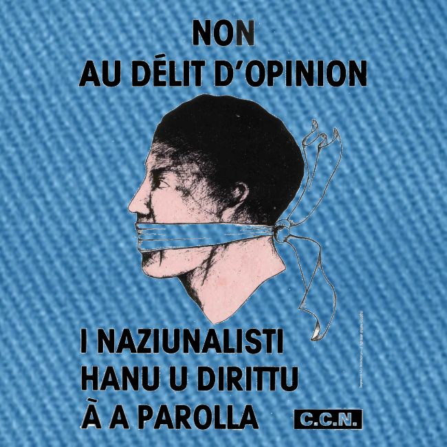 délit opinion