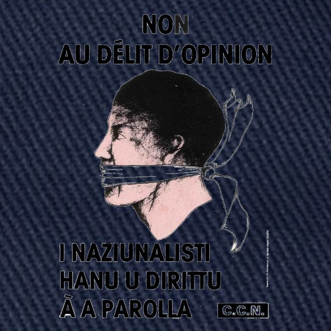 délit opinion