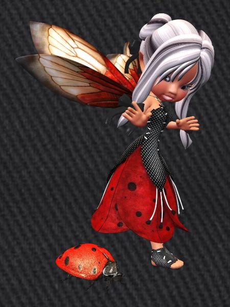 Ladybug Fairy