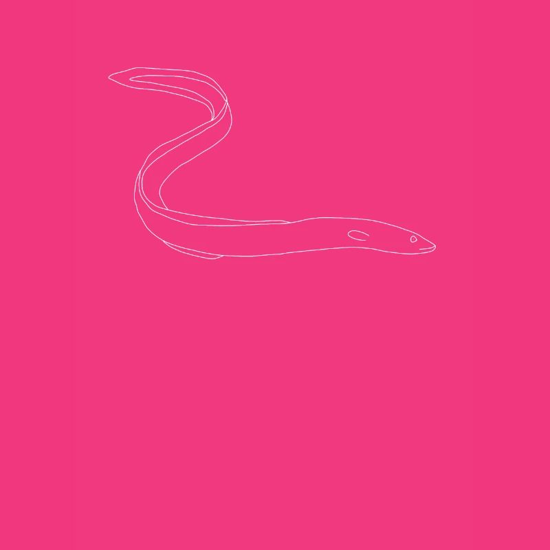 Aal