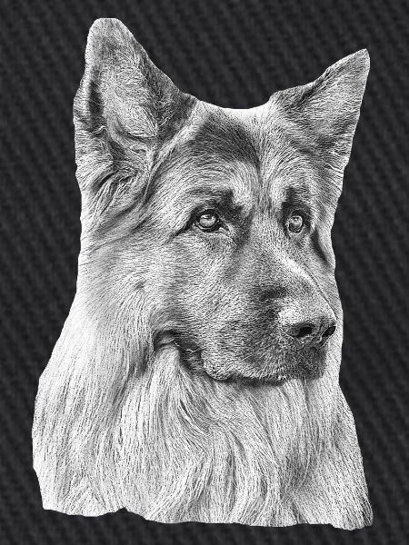 Altdeutscher Schäferhund Deutscher Schäferhund