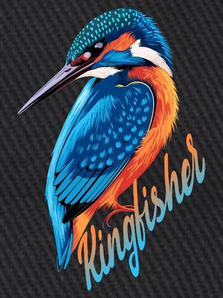 Niedlicher Eisvogel