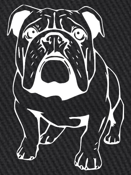 Bulldogge
