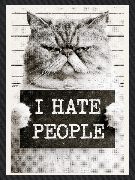 GrimmigerKater I HATE PEOPLE