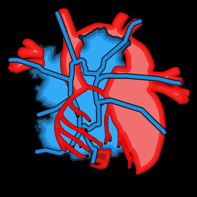 Ich habe ein Boot im Herzen