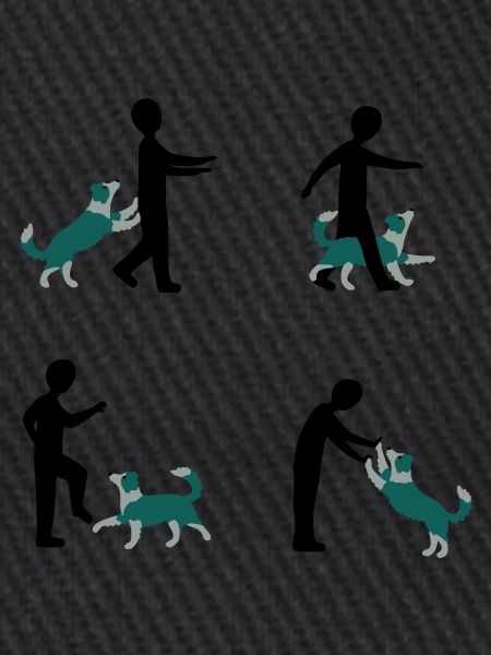 Dog Dancing 3-1