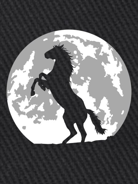 Pferd Vollmond