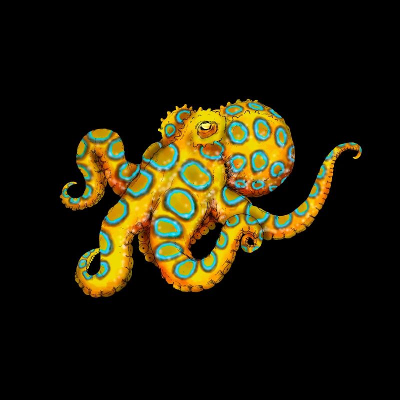 BLUE-RINGED OCTOPUS