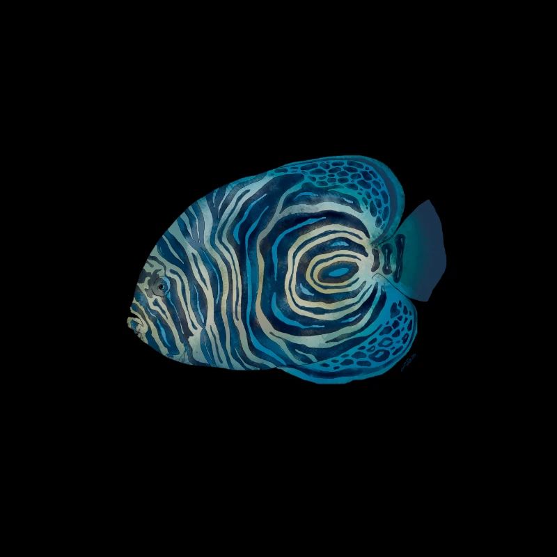 Juveniler Pomacanthus-Imperator