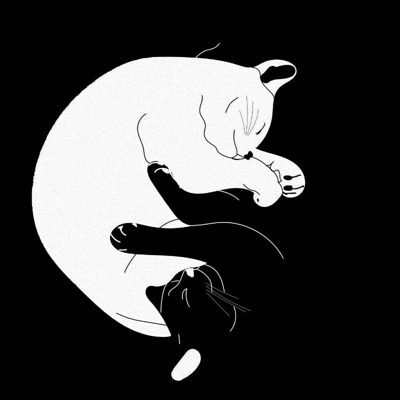 I Ching Cat