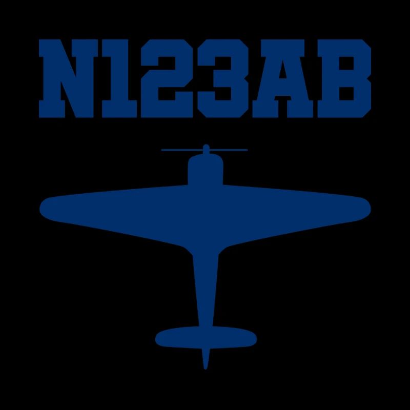 Custom Aviation - Airplane - Flying - Pilot